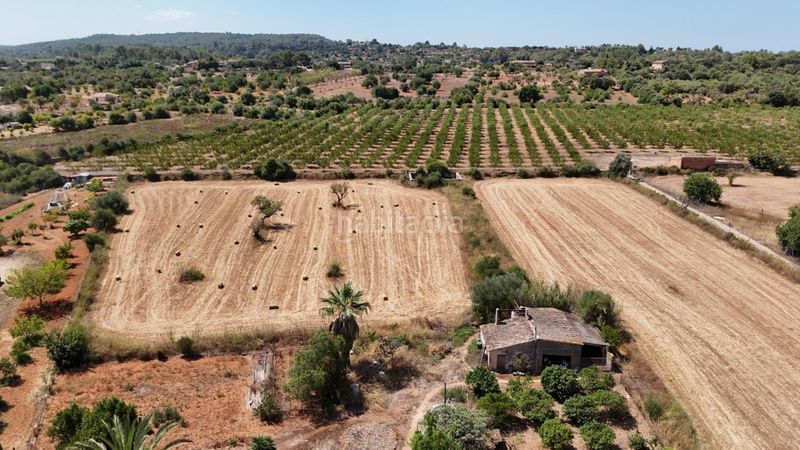 Foto 825a7459-d961-476c-81ba-03842619b32d. Casa a Santa María del Camí