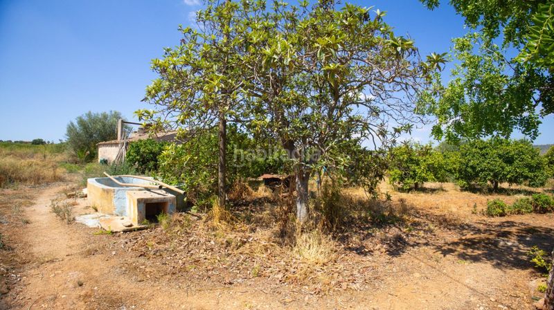 Foto eadb7444-7b89-4f5d-ba05-0f4338750607. Casa a Santa María del Camí
