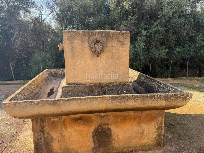 Foto 9ac532ff-eceb-4674-847d-15e8b0de2d70. Casa amb calefacció a Manacor centre Manacor