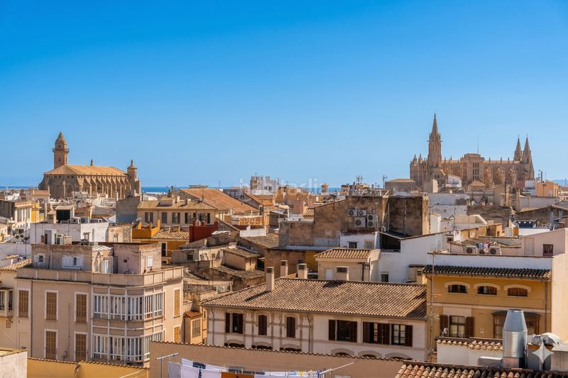 Foto caba0b1c-9c8e-4b2e-9d28-56d6437e15d3. Pis a Marquès de Fontsanta Palma de Mallorca