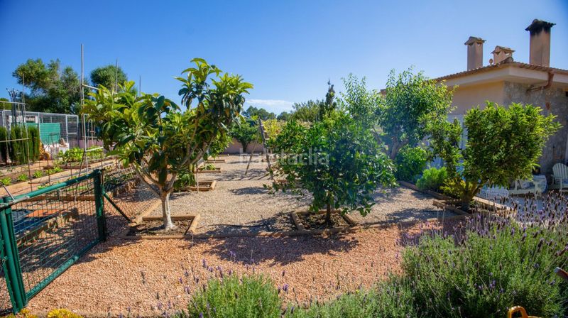 Foto fa54b210-a93e-4dc9-8d77-37f5f7a451ae. Casa amb aparcament a Son Serra de Marina Santa Margalida