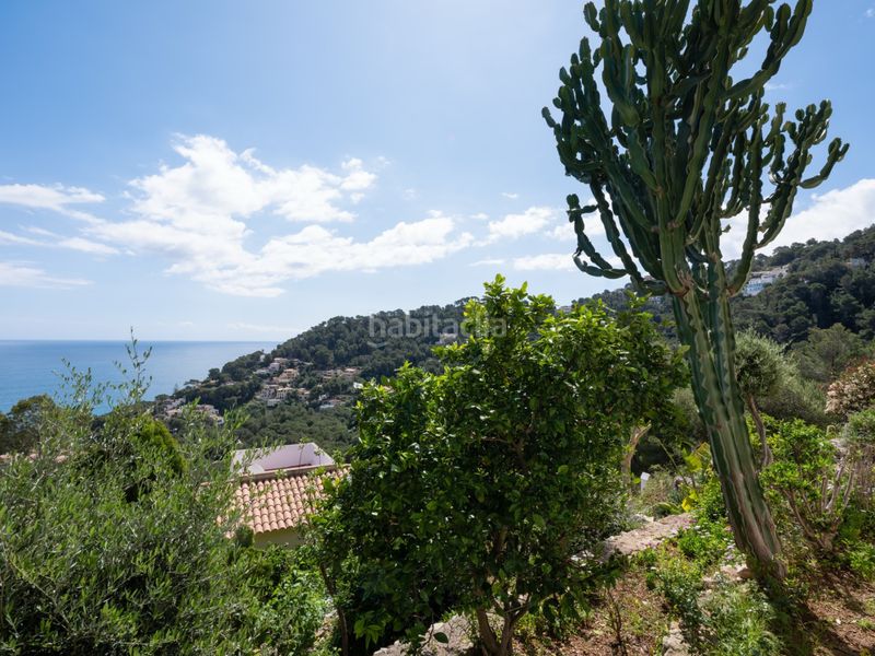 Foto fd9cd3fc-507d-42cc-aabf-6b7e5fabb6ee. Casa amb piscina a Canyamel Capdepera