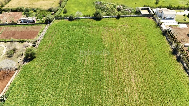 Foto 5b9b6a4e-ab5d-4a7b-b6ea-3acf7ff3df27. Casa amb aparcament piscina a Pollença poble Pollença