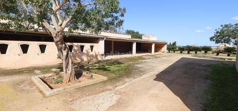 Foto 4a14b9ef-c9b9-4ab2-b8e2-f7bdaf4ffe36. Casa a Alaró