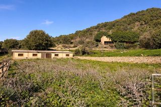 Casa  Manacor - carrer de vilanova. Exclusiva finca mallorquina del siglo xix son mesquida vell, man