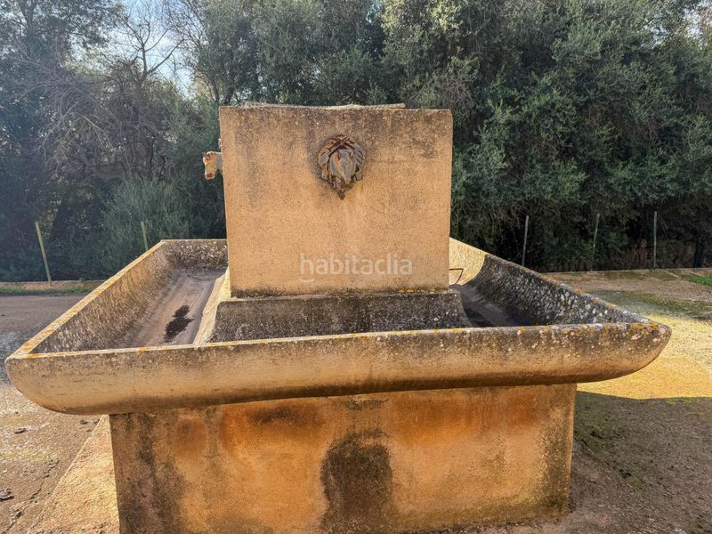 Foto f06d012b-56c7-4d8c-93c6-2615549a8179. Casa amb calefacció a Sant Llorenç des Cardassar