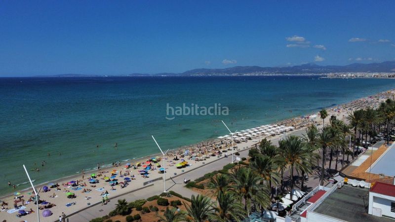 Foto 79930303-77b8-494b-ae17-8cea39060299. Àtic amb aparcament piscina a Les Maravelles Palma de Mallorca