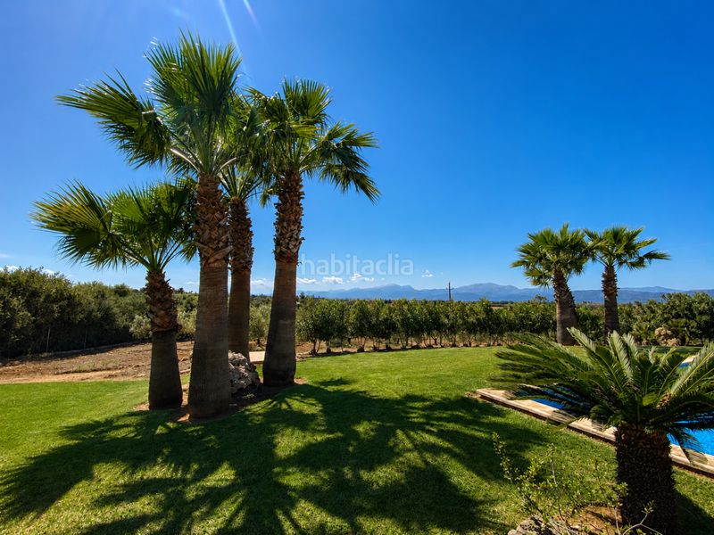 Foto a04c0f04-55ce-4c14-94c7-4d615a81a8fe. Lloguer casa amb calefacció aparcament a Santa Margalida poble Santa Margalida