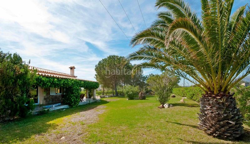Foto 184b8106-cfb2-4a08-8af0-d9072ae735f4. Affitto casa in Pollença poble Pollença
