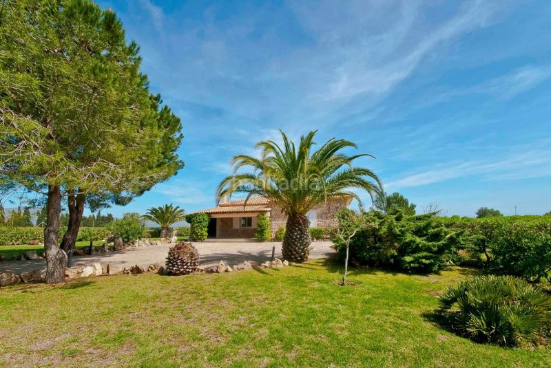 Foto b837400f-4b5e-4dd4-aa80-67ae8537e287. Alquiler casa fantástica finca con encanto mediterráneo en alquiler en pollenca.detalles de la propiedad.situación pollenca, norte de mallorca.t en Pollença