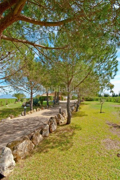 Foto cba3fc9d-f407-4304-bf20-be62a4eca668. Alquiler casa fantástica finca con encanto mediterráneo en alquiler en pollenca.detalles de la propiedad.situación pollenca, norte de mallorca.t en Pollença