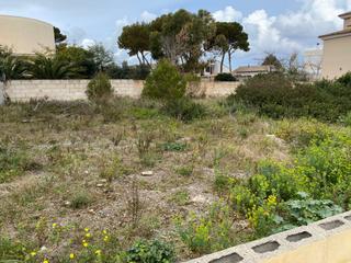 Residential Plot in Santa Margalida Poble. Parcela de 800 m2 en can picafort