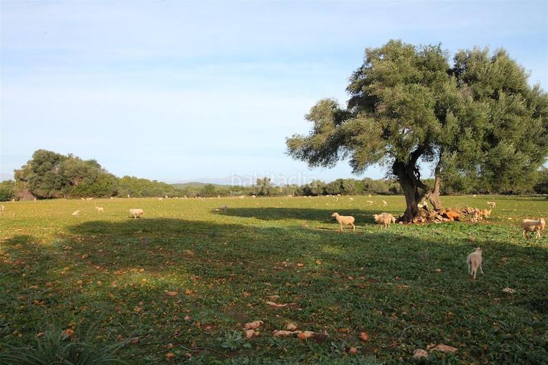 Foto 53607d68-9a23-4a37-b480-9a433b22e44e. Edificio en Artà poble Artà