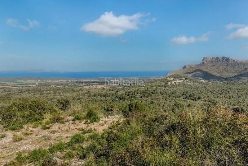 Foto 5fa682cc-eee3-4406-9172-11a5d66bdbf6. Edificio en Artà poble Artà