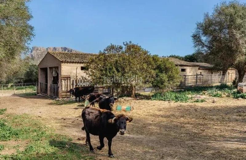 Foto 6776816d-5626-4b78-adfa-e4bd8fcb31d9. Edificio en Artà poble Artà