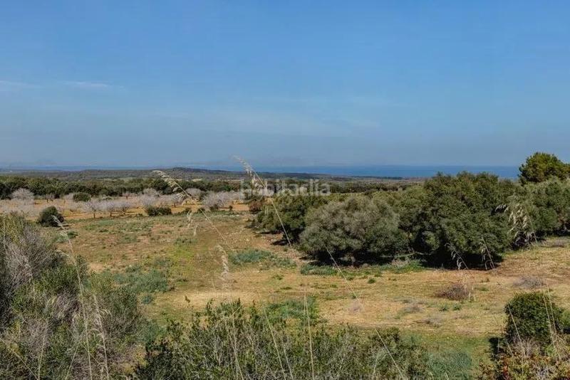 Foto beafced4-1afd-4d1d-b14d-20bc0838cab4. Edificio en Artà poble Artà