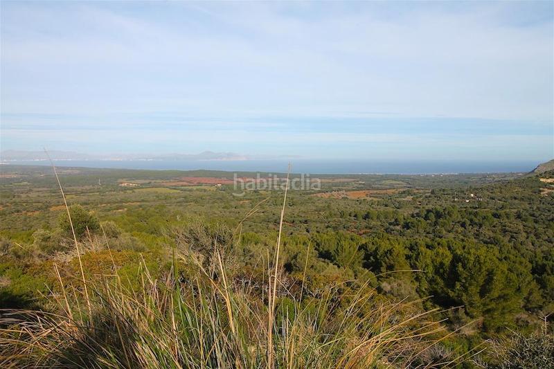 Foto d0fd4635-8d7f-4077-9082-1f264cea7332. Edificio en Artà poble Artà