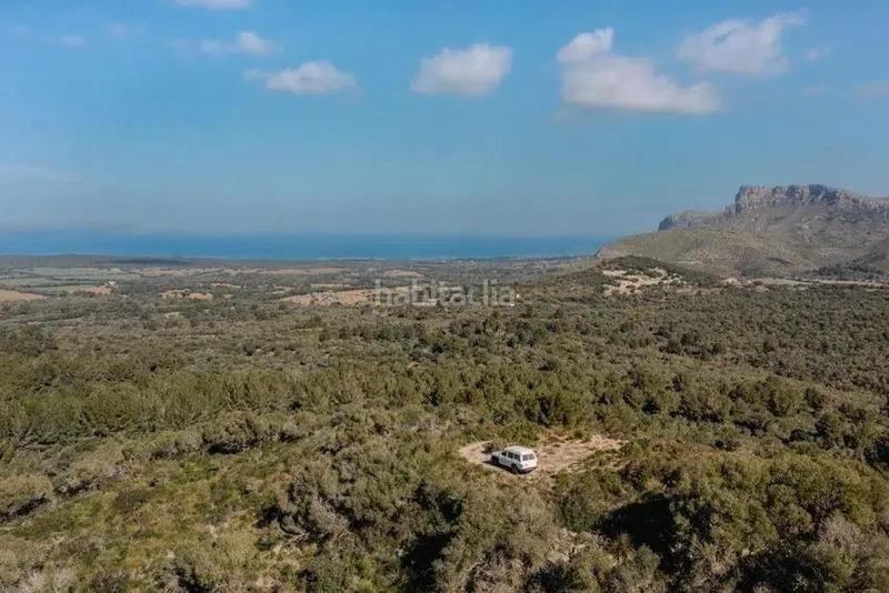 Foto 6b1c82c2-fae8-42d6-9b22-d0128926a87c. Gebäude in Artà poble Artà