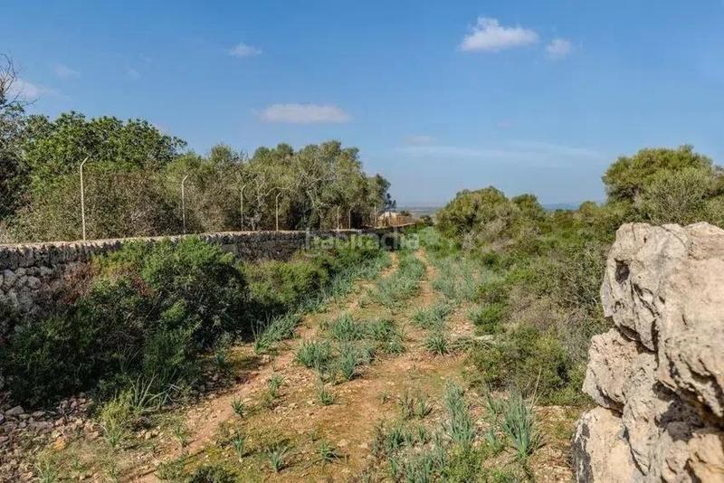 Foto a7633bd3-04a6-4875-95b6-5fefcd42c791. Gebäude in Artà poble Artà