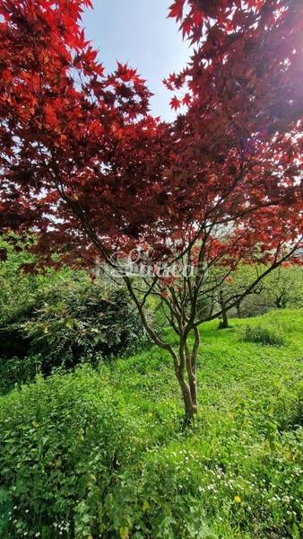 Foto 0f43152c-8fb5-4f7a-831b-aaa149dd03e0. Casa bifamiliare in Zeberio