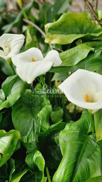 Foto 32a5b209-c307-4dc3-af2d-62082e61df45. Casa bifamiliare in Zeberio