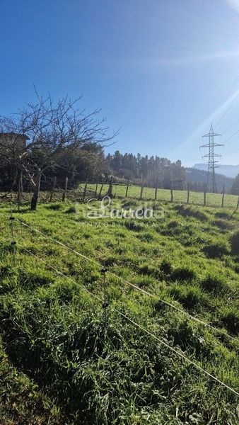 Foto dae84268-d0d5-4073-9d27-9ac2546366e1. Finca rústica a Lemoa