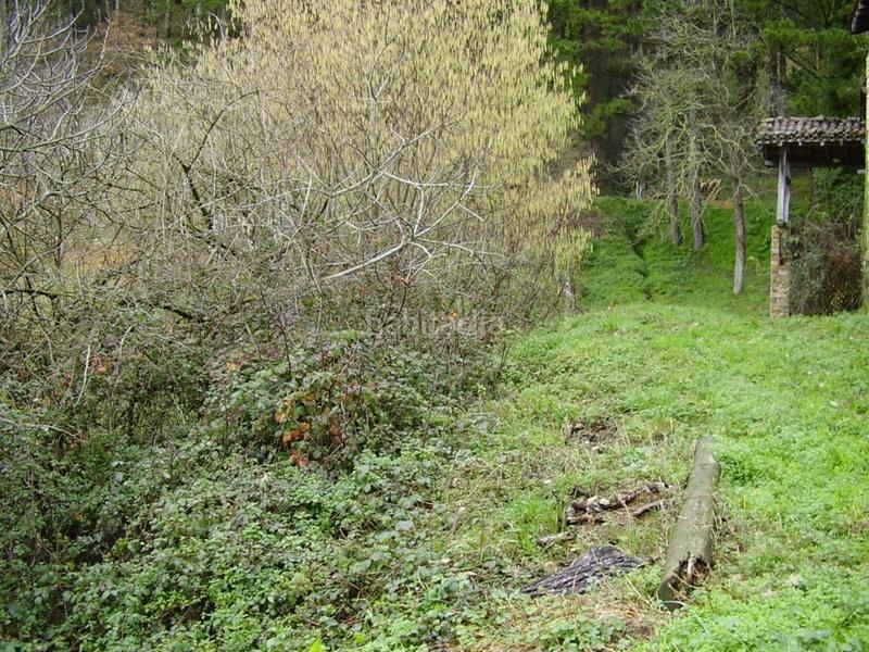 Foto 7298b550-68a6-4daf-8ee1-e38422357703. Casa a Zeanuri