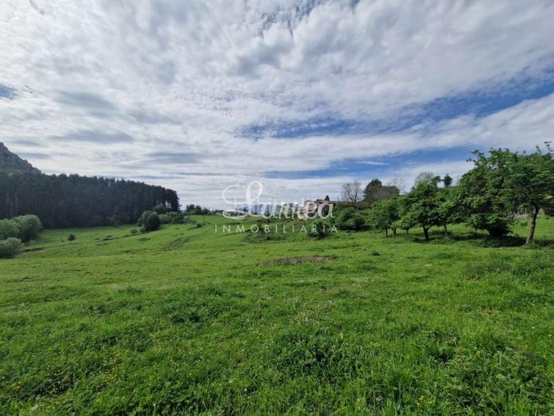 Foto 71c4bbb1-a6e0-49da-8954-ad8738ca2651. Casale in Dima