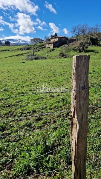 Foto 7bf79dda-4348-4389-abee-010bfee86110. Casale in Dima