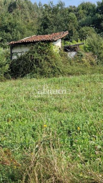 Foto 51fb5054-e2f6-4618-ba6a-ea3170196109. Mas dans Arratzu