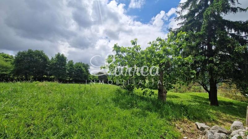 Foto 852b82ca-c117-4828-93dd-7f2f347945e6. Country house in Igorre