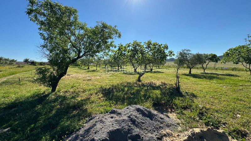 Foto 2b021cfe-c50f-4508-99d8-9eeb96f98994. Masía en n/a casa de campo a 10 minutos en Valdesalor - Rincón de Ballesteros Cáceres