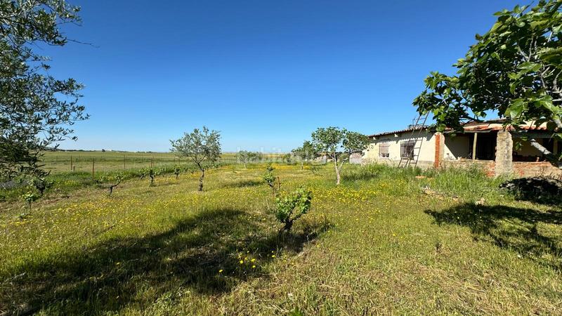 Foto 4cec752e-0155-4c9f-aed5-75bcfba388f0. Masía en n/a casa de campo a 10 minutos en Valdesalor - Rincón de Ballesteros Cáceres