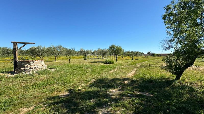 Foto b6b128d4-30c6-4288-ab59-bbcd23e7d4c2. Masía en n/a casa de campo a 10 minutos en Valdesalor - Rincón de Ballesteros Cáceres