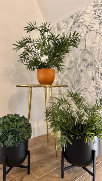 Foto ec136150-5e66-46a2-a0d6-e3f6f118e18e. Pis a Casco Antiguo Cáceres