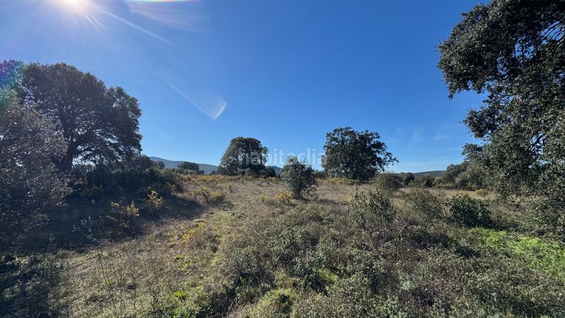 Foto 01c34b55-e3c0-4d28-b705-9c78391ecbc1. Finca rústica a n/a a Valdesalor - Rincón de Ballesteros Cáceres