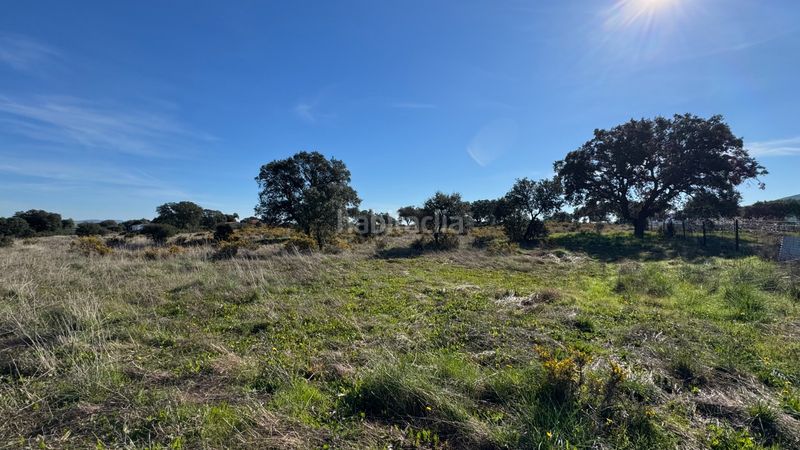 Foto 254a6c34-7129-4b27-8cfc-7eb5811edacc. Finca rústica a n/a a Valdesalor - Rincón de Ballesteros Cáceres