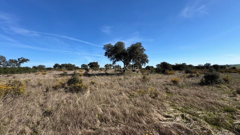 Foto 3ca21a7f-094d-4332-b6d5-a03544a937e2. Finca rústica a n/a a Valdesalor - Rincón de Ballesteros Cáceres