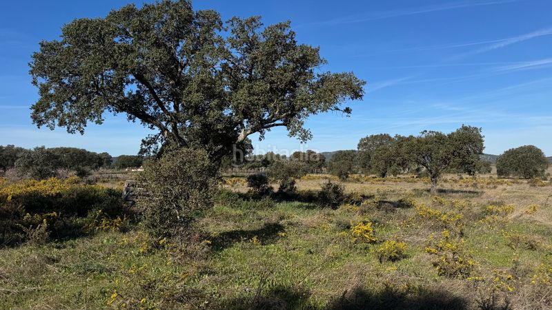 Foto 4ee38a46-8dcb-46b1-96cd-5edde617536d. Finca rústica a n/a a Valdesalor - Rincón de Ballesteros Cáceres