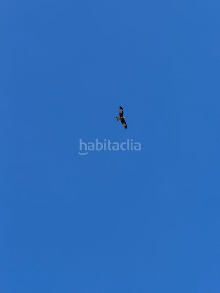 Foto 6fdc73ba-62f2-457a-b5ac-4b1bc78d6018. Finca rústica a n/a a Valdesalor - Rincón de Ballesteros Cáceres