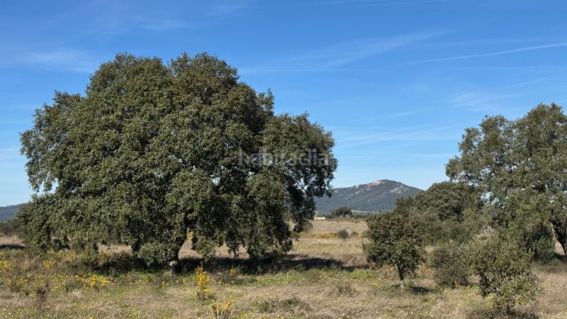 Foto 89720271-cc91-4943-805e-b732112b17a6. Finca rústica a n/a a Valdesalor - Rincón de Ballesteros Cáceres