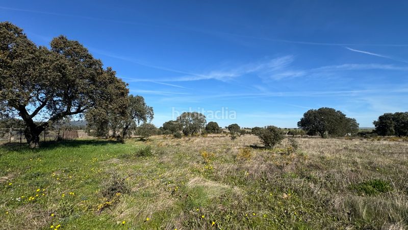 Foto 8bda52fa-eb93-4877-8015-a9ffd4107710. Finca rústica a n/a a Valdesalor - Rincón de Ballesteros Cáceres
