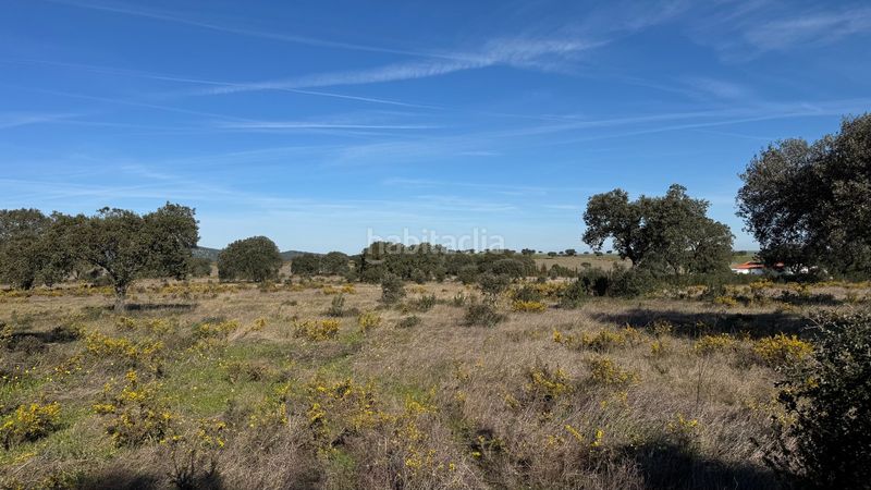 Foto c68cd9d4-4d43-4f71-a6c4-a613da155d38. Finca rústica a n/a a Valdesalor - Rincón de Ballesteros Cáceres