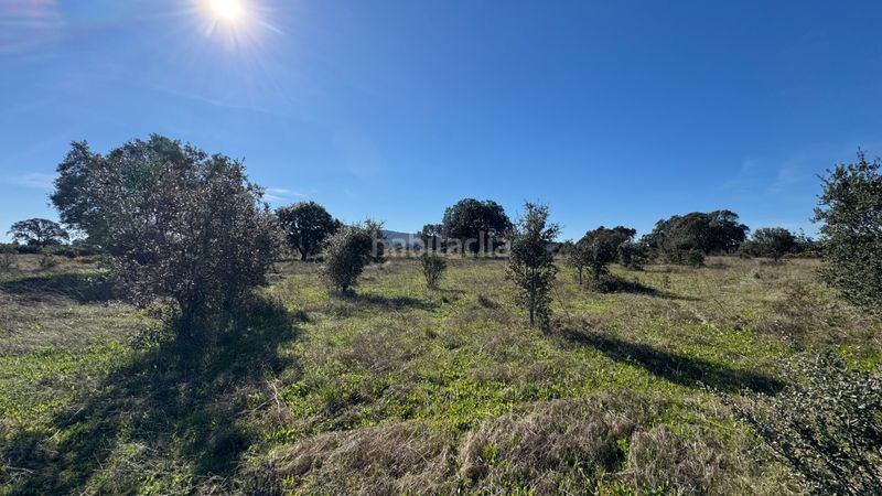 Foto cdc372ff-1364-4bfd-adf3-73286a12a56b. Finca rústica a n/a a Valdesalor - Rincón de Ballesteros Cáceres