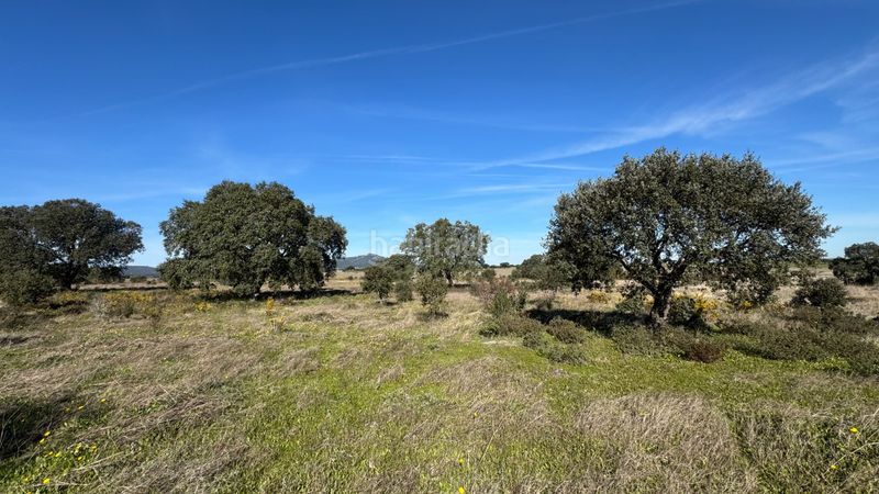 Foto df0cc671-ec62-498f-abc0-9054a2194873. Finca rústica a n/a a Valdesalor - Rincón de Ballesteros Cáceres