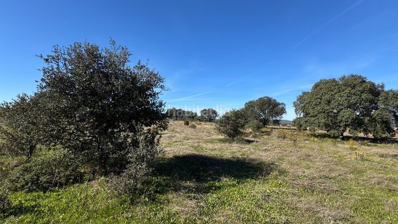 Foto efa549f9-813f-470a-acfd-21a330a72903. Finca rústica a n/a a Valdesalor - Rincón de Ballesteros Cáceres