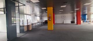 Lloguer Oficina  Avinguda de barcelona. Se alquila oficina de 600m2 actualmente en reforma