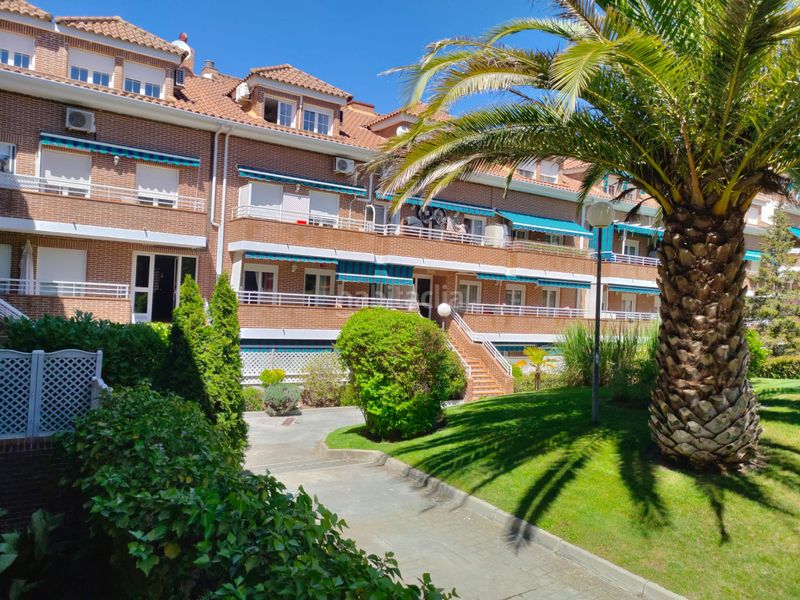 Foto 4753d3ec-3038-42b5-800d-6039a9527217. Piano terra in calle alondra 1 in Sevilla la Nueva