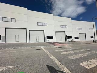 Lloguer Local Comercial en Calle palustre de la torre 3