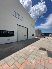 Alquiler Local Comercial  Calle palustre de la torre